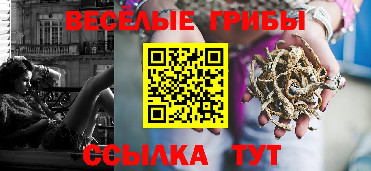 Черногорск  Галлюциногенные грибы ЛСД  Вход с VPN  Псилоцибиновые грибы GOLDEN TEACHER 