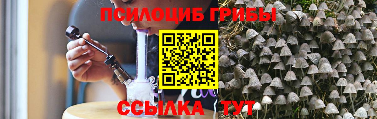 Галлюциногенные грибы прущие грибы Черногорск
